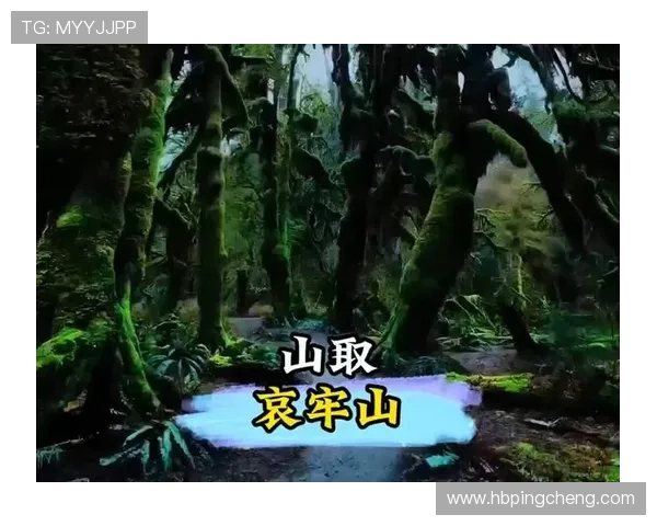 3分钟看懂云南虫谷，献王墓的宝藏为何无人能取？